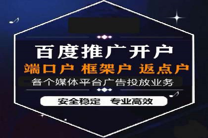 某某sem代运营公司成功案例：提高转化率